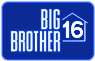 Big Brother 15